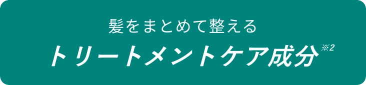 トリートメントケア成分