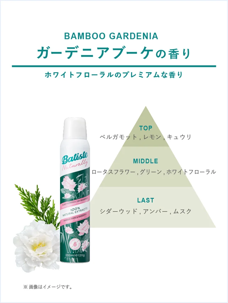 バンブーガーデニア